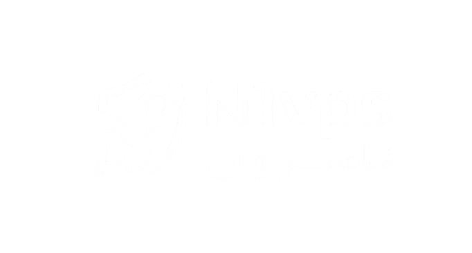 N1vps